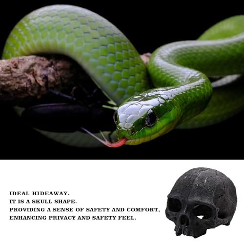 Oooct Resin Skull Sculpture, Black, Reptile Hideout for Fish, Bearded Dragon, Ball Python, Leopard Gecko, 4.7 x 3.5 x 3.7 Inch - color: Black, size: Simulated Human Skull