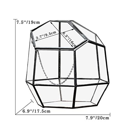 NCYP Handmade 7.5inches Small Close Geometric Terrarium with Door, Black Irregular Glass Planter, Modern Succulent Cacti Flower Pot, Home Garden Decor DIY Gift (Plants and Props NOT Included) - size: 8x7x7.5inches