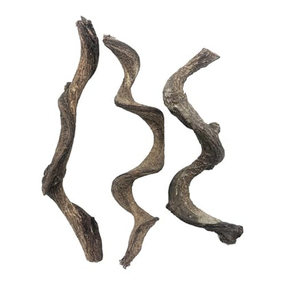 Reptile Decor 3PCS Natural Forest Branch Terrarium Habitat Decoration Lizard Climbing Tree Branch for Bearded Dragon Gecko Snake Frog Chameleon Spider
