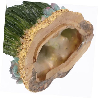 BESPORTBLE Reptile Cactus Terrarium Decoration Landscape for Turtle Lizard Reptile Habitats Realistic Desert Environment Convenient Cleaning Design