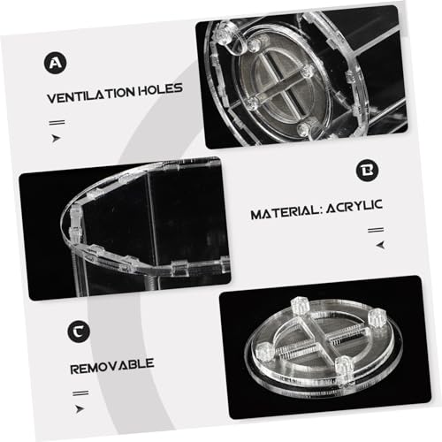 COLLBATH Transparent Reptile Breeding Box with Ventilation Feeding Case for Spiders Geckos and Snakes Durable Acrylic Habitat for Pet Display and Observation