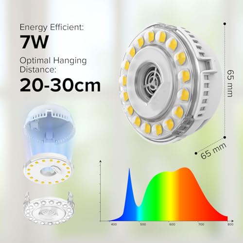 7W Grow Light for Indoor Plants, Full Spectrum Plant Light with Auto Timer (3/6/12H) & 4-Level Dimming, Small Led Grow Light for Seedlings, Succulents, Herbs - size: 1-Head