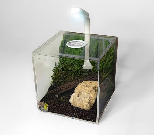 BugzyBugs 4″ Ventilated Acrylic Vivarium Terrarium Enclosure Clear Cubic Bug Habitat for Spiders, Isopods, Insects, Reptiles - color: White