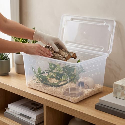 Reptile Feeding Box, Transparent Portable Plastic 2PCS Breeding Transport Box for Lizard Bearded Dragon Spider (L)