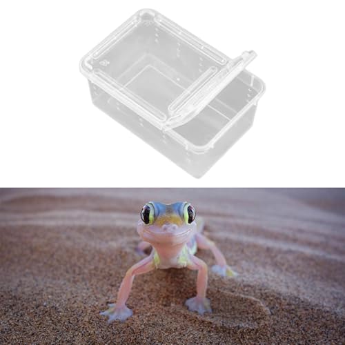 Fenteer Reptile Breeding Box Clear Terrarium Habitat Cage Transparent Container PP Material Ventilation Design Portable Suitable for Reptile Feeding, Style B - size: Style B