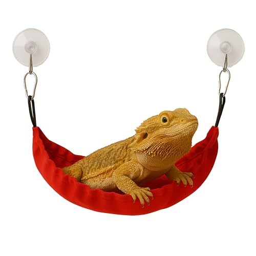 CTWPets Reptile Hammock & Lizard Hammock Hide (100% Polyester, 2 Suction Cups) 9.8" x 3.9" with 2.4" Ideal for Geckos, Lizards & Small Reptile Hide Crested Gecko Accessories (Bright Red, Medium) - color: Bright Red