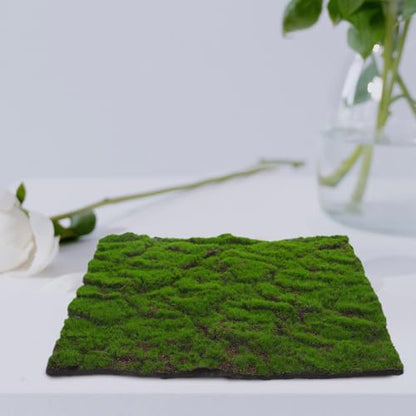 Kichvoe Artificial Moss Mat 30cm X 30cm Faux Grass Turf Synthetic Moss Rug for Wedding Banquet Table Decor Indoor Outdoor Reptile Terrarium Landscaping