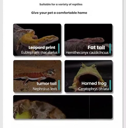 Smart Reptile Terrarium 11.8"x7.8"x10" with Thermostat | Leopard Gecko Tank, Heat/Cold Gradient, High Transparency Acrylic, Fast Heating Aluminum, Stackable for Snake/Lizard - color: Black constant temperature feeding box