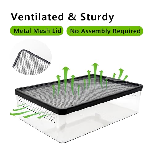 Small Reptile Terrarium, Escape Proof Enclosure 12.6×8.7×3.9 in | Clear Viewing Habitat for Hermit Crabs Isopods and Beetles, Tarantula Gecko Praying Mantis Feeding Box, Breeding Habitat