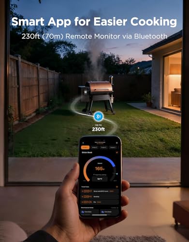 Govee Bluetooth Meat Thermometer, Wireless Meat Thermometer for Smoker Oven, Digital Grill Thermometer with 2 Probes, Timer Mode, Smart LCD Backlight BBQ Thermometer for Cooking Turkey Fish Beef