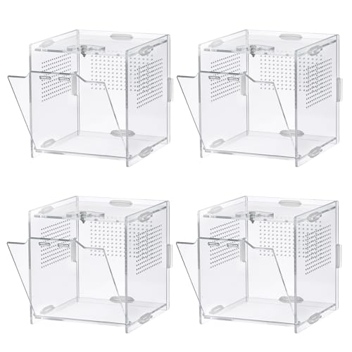 VERTUPET 4 Pack Jumping Spider Enclosure, 4''x4''x4'' Acrylic Arboreal Reptile Tank, 0.03” Ventilation Hole Habitat Transparent Enclosure Breeding Box with Locking Latch for Frog, Crickets, Snails
