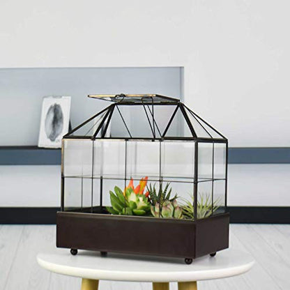YIMORENCE V Large Tall Plant Terrarium Glass Greenhouse with Lid and Tray, Indoor Tabletop Orchid Succulent Cacti Kit 9.5'X9.8'X5.6'