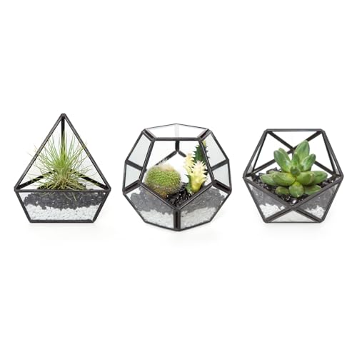 Mkono 4 Inches Mini Glass Geometric Terrarium Container Set of 3 Modern Tabletop Planter Shelves Decor Display Centerpiece for Succulent Miniature Fairy Garden Air Plant, Black(Plant Not Included) - color: Black
