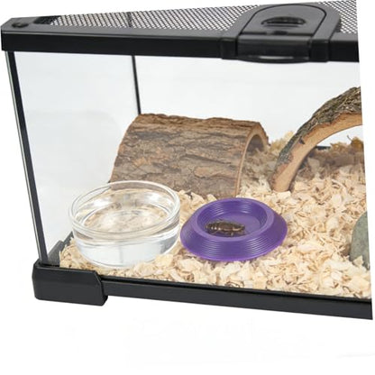 GLEAVI 12pcs Reptile Feeding Bowls Plastic Food Dish with Nontip Base Easy Small Animal Feeding Bowls for Leopard Gecko and Reptiles Home Use