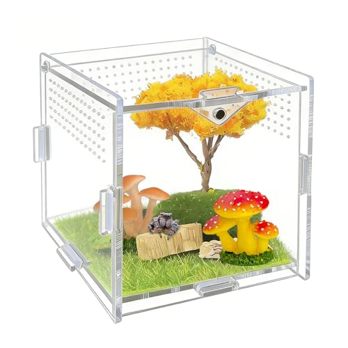Jumping Spider Enclosure, 4"x4"x4" Acrylic Habitat Terrarium - Top Opening with Ventilation & Feeding Holes, Small Pet Tank for Jumping Spiders, Snails, Insects, Isopods