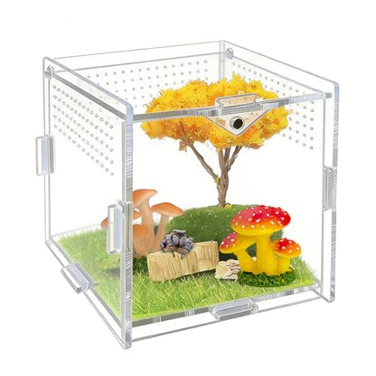 Jumping Spider Enclosure, 4"x4"x4" Acrylic Habitat Terrarium - Top Opening with Ventilation & Feeding Holes, Small Pet Tank for Jumping Spiders, Snails, Insects, Isopods