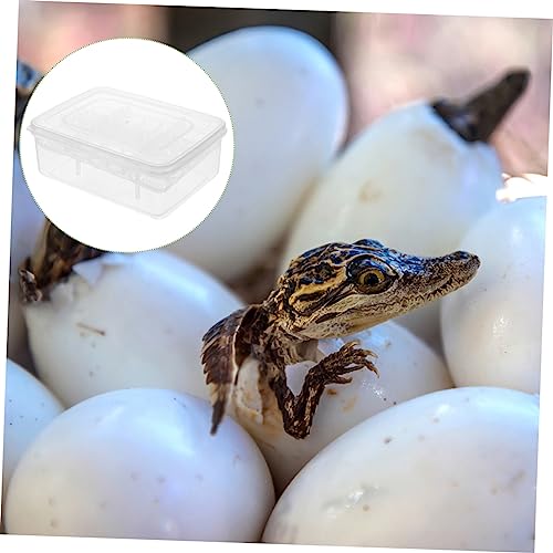 Plastic Reptile Egg Incubator Hatching Case for Tortoise and Lizard Eggs Easy to Clean and Manage Transparent Design for Observing Reptile Births Reusable Incubator Tray