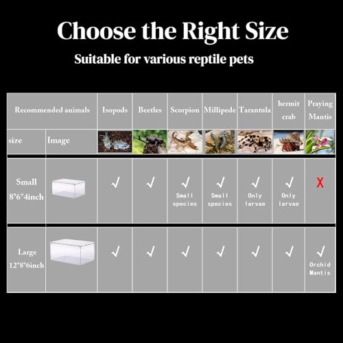 Small Tarantula Enclosure 8×6×4", Magnetic Escape-Proof Terrarium | Compact Clear PC Enclosure with Sliding Lid & 360° Viewing, Perfect for Isopods, Beetles & Small Tarantulas, Easy Setup - size: A-S(8x6x4in)