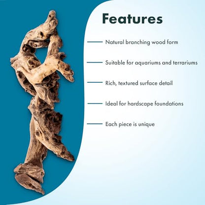SubstrateSource Natural Aquarium Driftwood for Fish Tanks, Terrarium, Reptile Habitats, Freshwater Aquatic Decor - Small to Large Pieces (Amazon Wood (Small) 4-8", 3 Pieces)