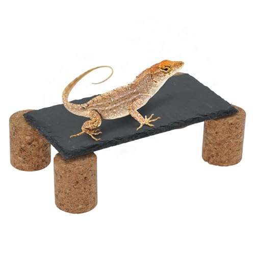 Reptiles Slate Rocks, Basking Surface Reptile Basking Platform, Enhances Climbing Activity, Black Gray, 1 Set