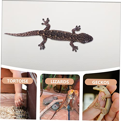 Yardwe Reptile Carpet for Bearded Dragon Lizard Tortoise Snake Turtle Eva Mat Terrarium Liner Soft Bedding Easy Clean - color: White