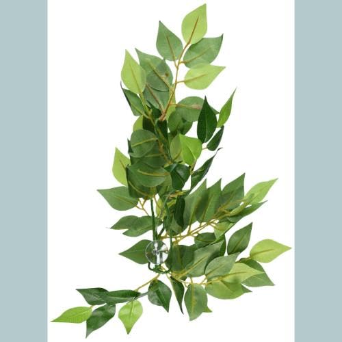 Exo Terra Silk Terrarium Plant, Small, Ficus