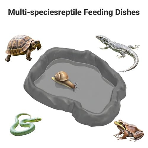 2 Pack Snail Food and Water Bowl，atural Design Food Bowl for Pet Snails, Garden Snails Pet Land Snail Supplies - color: gray