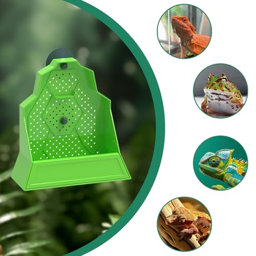 Reptile Tank Accessories, Wall-Mounted Plastic Feeder with Suction Cups, Dubia Roach & Cricket Food Bowl for Bearded Dragon, Gecko, Chameleon, Frog and Other Small Reptiles