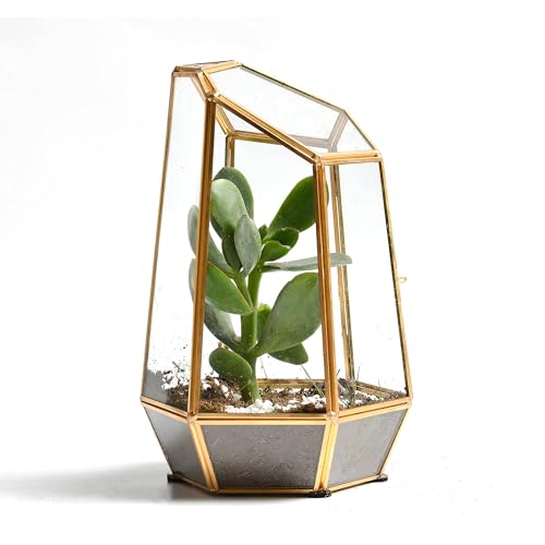Golden Geometric Glass Terrarium with Door - 9.8" Tall Irregular Clear Planter for Succulents,Ferns,Moss,Cacti | Indoor Fairy Garden,Tabletop Display,Wedding Home Decoration (Plants Not Included) - color: Gold