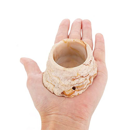 2 Pack Micro Water Bowl Mini Anti-Turnover Resin Dish for Lizard Frog Scorpion Corn Snake Reptiles