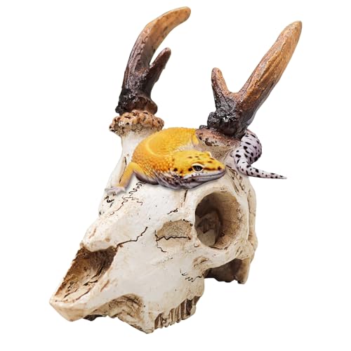 Reptile Decorations for Terrarium, Resin Skull Ornament Climbing Toy for Gecko, Tarantula Enclosure Accessories, Bearded Dragon Tank Accessories