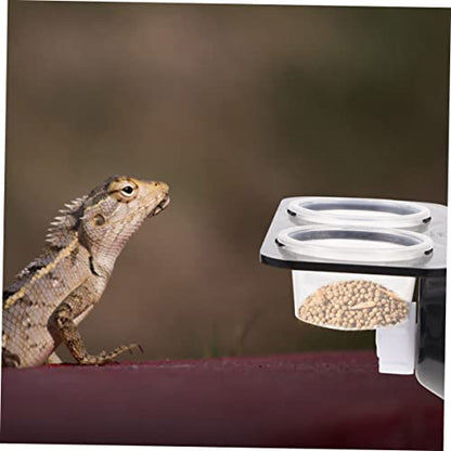 BESPORTBLE 1set Suction Cup Feeding Bowls for Reptiles Practical Reptile Water and Food Dispenser Bowls and Easy to Clean Feeding Tools for Turtles Lizards and Geckos
