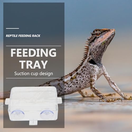 Cabilock Escape-Proof Reptile Feeding Bowls 2pcs Small Reptile Food and Water Basins with Suction Cups for Bearded Dragon, Gecko, Lizard Terrarium Supplies