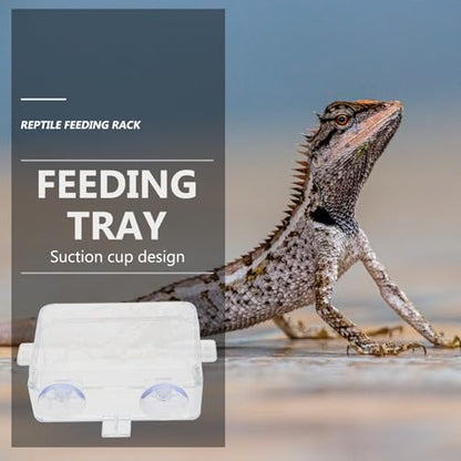 Cabilock Escape-Proof Reptile Feeding Bowls 2pcs Small Reptile Food and Water Basins with Suction Cups for Bearded Dragon, Gecko, Lizard Terrarium Supplies