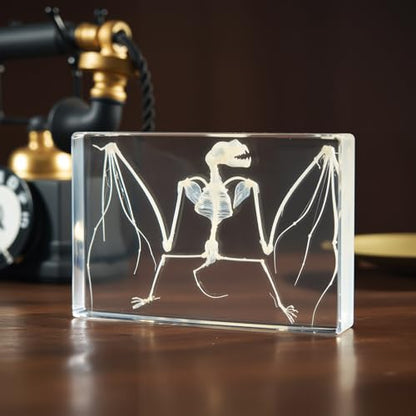 Taxidermy Bat and Real Bat Specimens Mounted in Resin, Ideal Gift for Fans of Taxidermy, Animal Skulls, Oddities, and Biology (Bat Skeleton (5.3x3.5x1.3 Inch)) - color: Bat Skeleton (5.3x3.5x1.3 Inch)