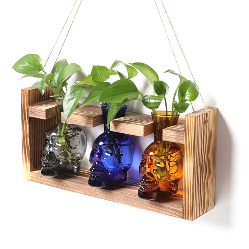 Plant Terrarium Propagation Stations Hydroponics Halloween Skull Planter | Vase skulls decor With Wooden Stand Gife for Father - color: Color-03
