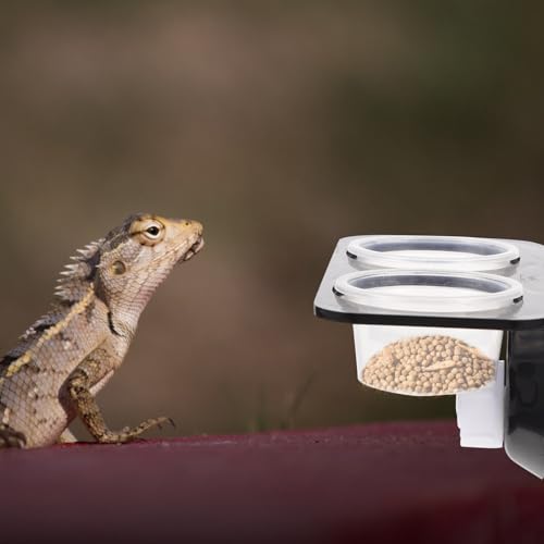 BESPORTBLE Reptile Feeding Station with Dual Food Basins and 10 Plastic Bowls, Suction Cup Mounted Water and Food Dish for Tree-Dwelling Pets, Suitable for Geckos and Lizards in Terrariums