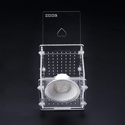 Fish for Hatchery Incubator Aquarium Breeding Box Acrylic Breeder Isolation Hatching Boxes with Suction Cup