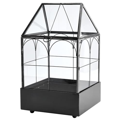 HighFree Glass Terrarium with Metal Tray, Glass Greenhouse Terrarium Kit for Succulents, Cacti, Snails, Spiders, and Miniature Reptiles, Black (Small-5.9" L x 5.9" W x 10.2" H) - size: Small-5.9"L x 5.9"W x 10.2"H