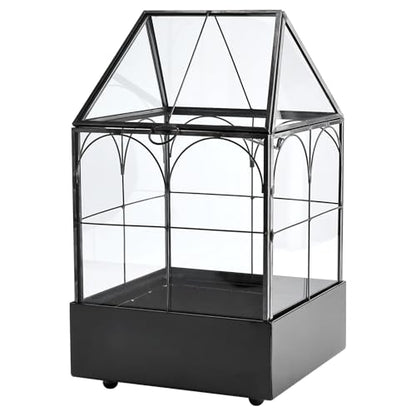 HighFree Glass Terrarium with Metal Tray, Glass Greenhouse Terrarium Kit for Succulents, Cacti, Snails, Spiders, and Miniature Reptiles, Black (Small-5.9" L x 5.9" W x 10.2" H) - size: Small-5.9"L x 5.9"W x 10.2"H