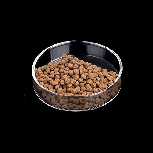 WEAVERBIRD 60mm Aquarium Shrimp Feeder Dish Glass Fish Tank Feeding Bowls Round Clear Dishes Tray - size: 60MM