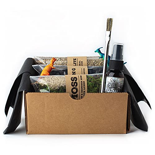Cute Farms Terrarium Starter Kit | Moss, Vermiculite, Soil, Plant Food, Brush, Build and Care Guide | DIY Succulent Terrarium Kit for Adults and Kids - style: Terrarium Kit (No Glass)