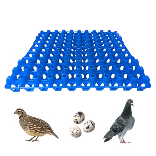 Hen's Choice 90 Egg Plastic Trays for Quail, Pigeon, Dove, Birds. Incubator Flat Carton (Blue, 6 Pack) - color: Blue, size: 6 Pack