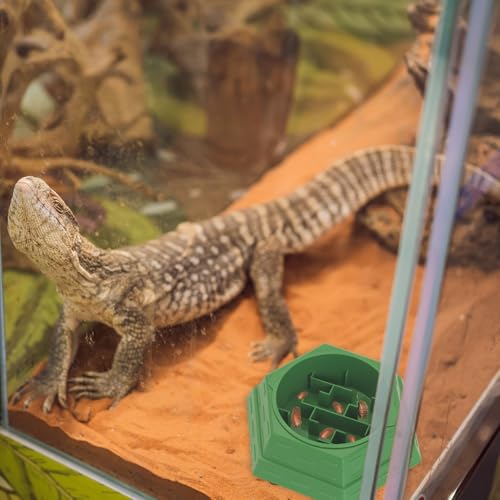 Reptile Feeder Bowl Worm Dish Anti-Escape Food Dish Bowl with 2PCS Feeding Box, Food Water Feeder for Crested Gecko Lizard Chameleon Pets, Reptile Terrarium Tank Accessories (M) - size: M