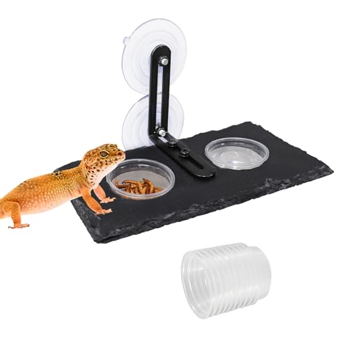 Reptile Tank Accessories, Slate Gecko Feeding Ledge with Suction Cups, Crested Gecko Food Dish, Food Bowl and Water Dish for Gecko, Chameleon, Frog and Other Small Reptile