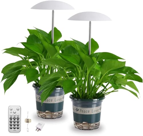 LED Grow Lights for Indoor Plants 2 Pack, Smart Full Spectrum USB Small Plant Lights with Remote, Height Adjustable, Auto On/Off Timer, Ideal for Home Decoration - color: White