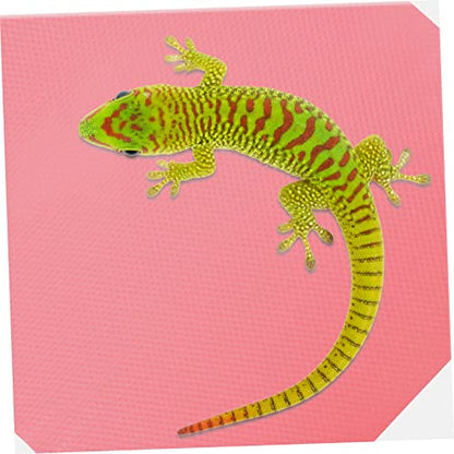 HANABASS Reptile Carpet Mat Reptile Tank Accessories Leopard Gecko Substrate Pad Eva Material Terrarium Bedding