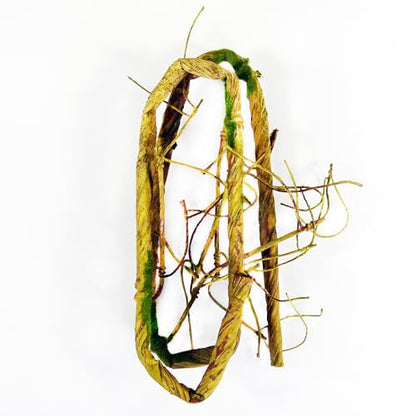 Penn-Plax Reptology Reptile Climber-Vine – Thick Green Vine Decoration for Terrariums – 5” Length (REP401) - size: 5' Green