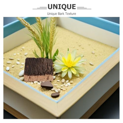 4pcs Cork Terrarium Background: Terrarium Bark Background Cork - Natural Bark Backdrop - Reptile Climbing Wall Accessories 2.36x2.36 - size: 6.00X6.00X2.00CM