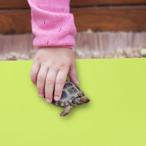 2pcs Reptile Carpet Terrarium Liner Mat Waterproof and Oil-Resistant Floor Bedding for 40-45 Gallon Tanks, Cuttable and Washable Green Mat for Bearded Dragon, Gecko, and Lizard